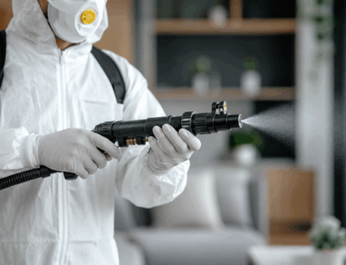 Como funciona a Dedetização e o controle profissional de pragas?